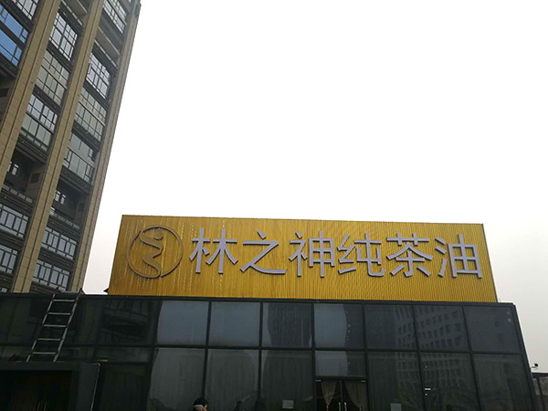 楼顶发光字 (4)