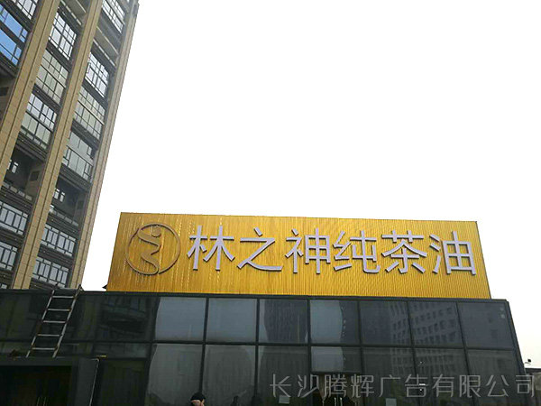 墙面楼宇发光字 (15)